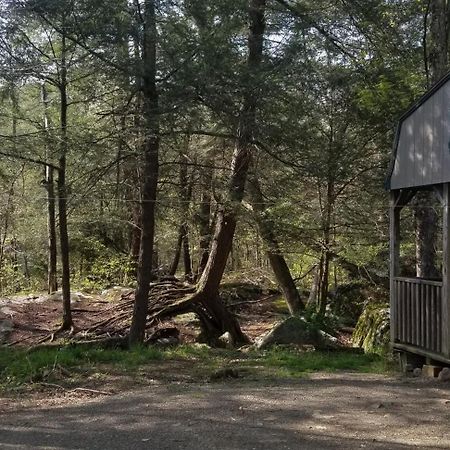 Abrams Creek Campground Hotel Mount Storm Exterior photo