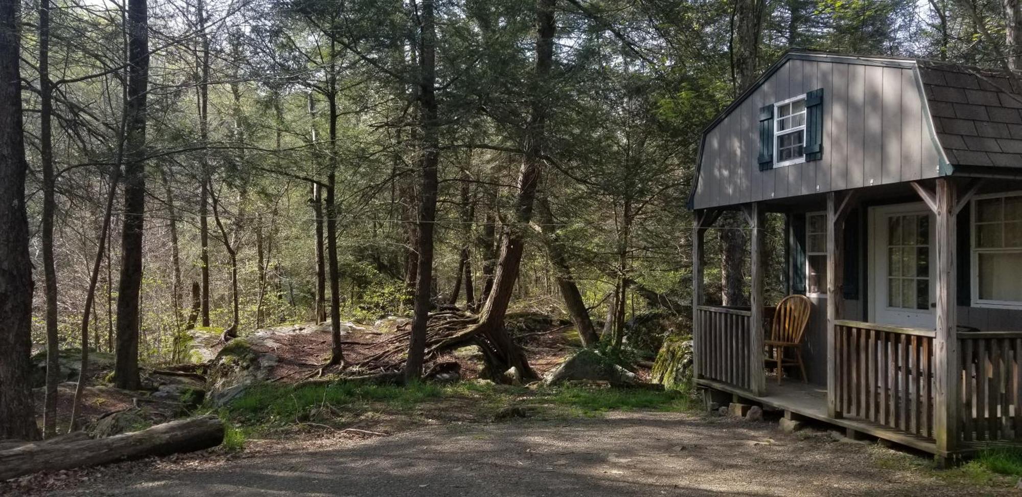 Abrams Creek Campground Hotel Mount Storm Exterior photo