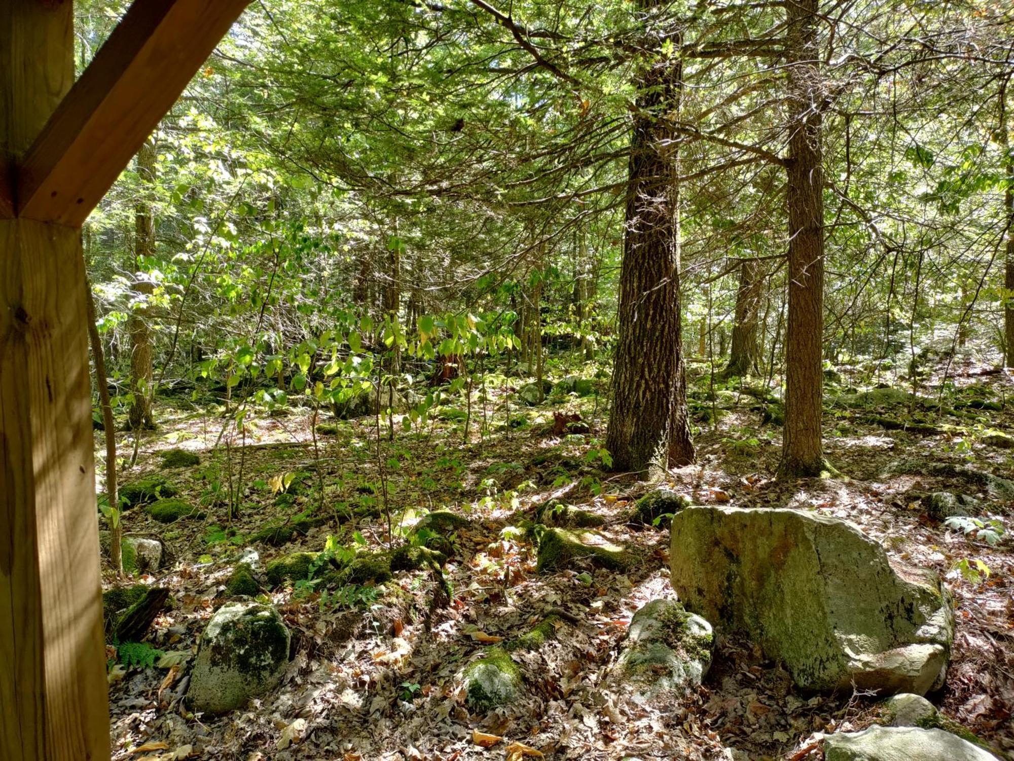Abrams Creek Campground Mount Storm Exterior photo