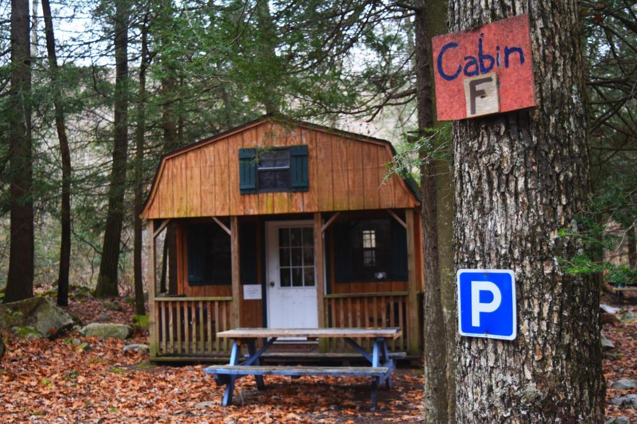 Abrams Creek Campground Hotel Mount Storm Exterior photo